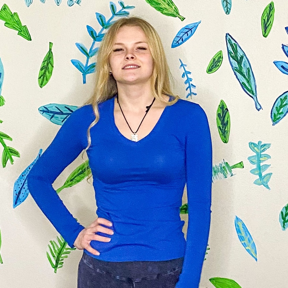 3 for $19 Essential Sapphire Blue VNeck Long Sleeve